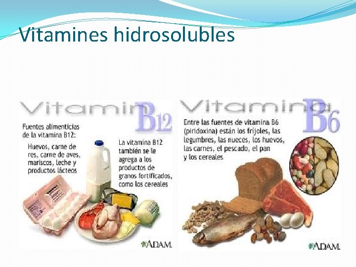 Vitamines hidrosolubles 