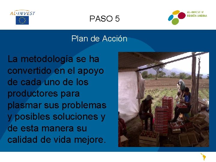 PASO 5 Plan de Acción La metodología se ha convertido en el apoyo de