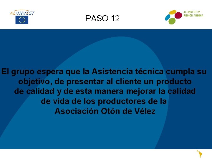 PASO 12 El grupo espera que la Asistencia técnica cumpla su objetivo, de presentar