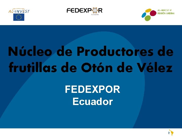 Núcleo de Productores de frutillas de Otón de Vélez FEDEXPOR Ecuador 2 