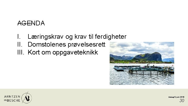 AGENDA I. III. Læringskrav og krav til ferdigheter Domstolenes prøvelsesrett Kort om oppgaveteknikk tirsdag