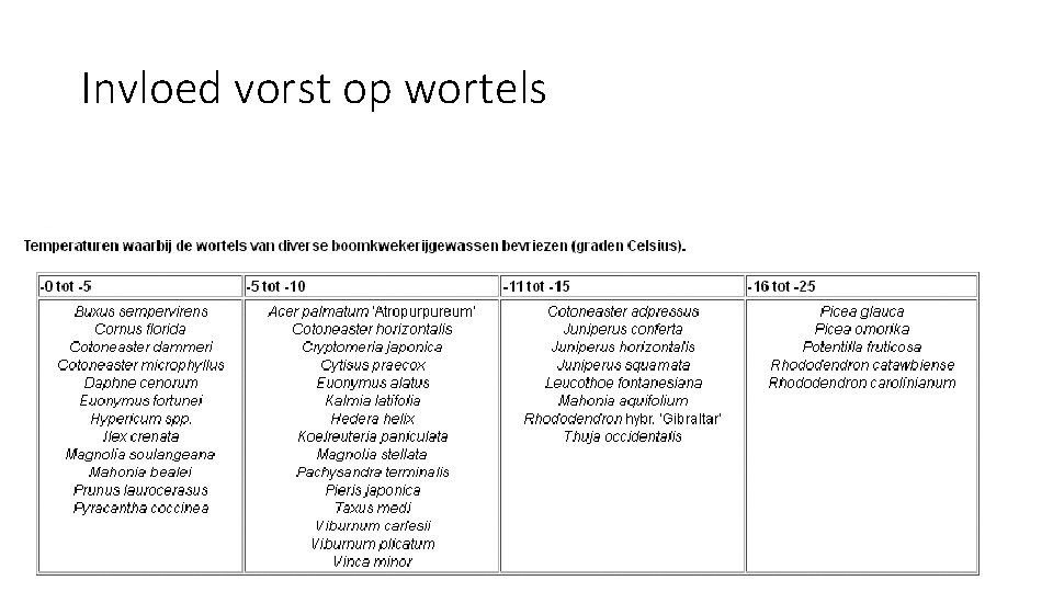 Invloed vorst op wortels 