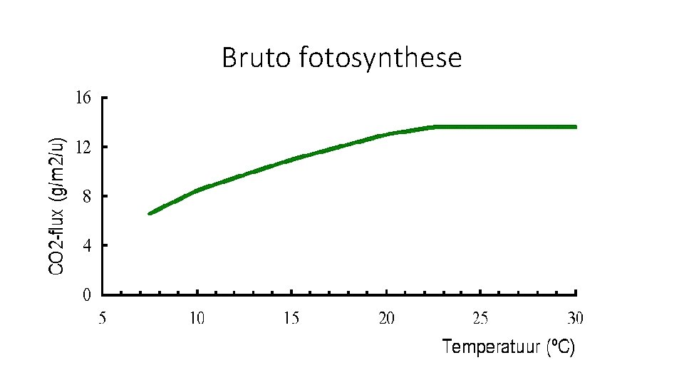 Bruto fotosynthese 