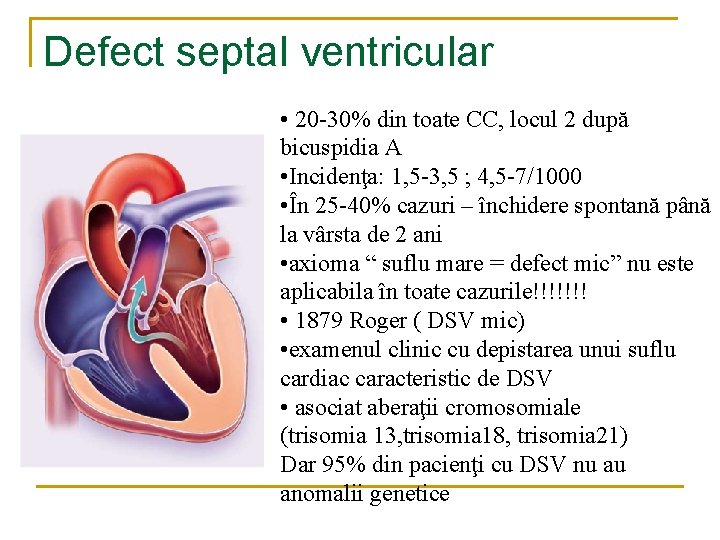 Defect septal ventricular • 20 -30% din toate CC, locul 2 după bicuspidia A Defect septal ventricular • 20 -30% din toate CC, locul 2 după bicuspidia A