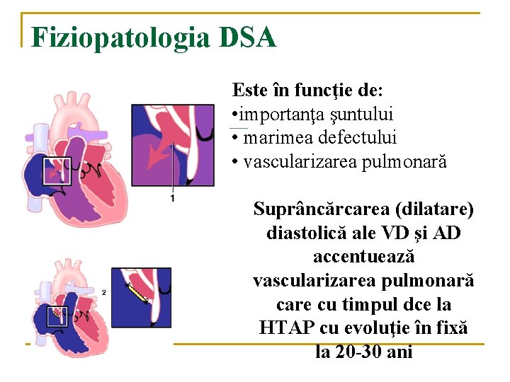 Fiziopatologia DSA Este în funcţie de: • importanţa şuntului • marimea defectului • vascularizarea Fiziopatologia DSA Este în funcţie de: • importanţa şuntului • marimea defectului • vascularizarea