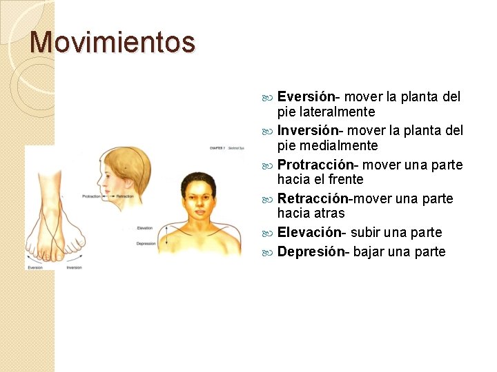 Movimientos Eversión- mover la planta del pie lateralmente Inversión- mover la planta del pie