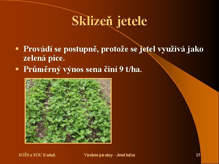 Sklizeň jetele § Provádí se postupně, protože se jetel využívá jako zelená píce. §