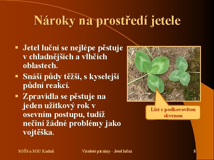 Nároky na prostředí jetele § Jetel luční se nejlépe pěstuje v chladnějších a vlhčích