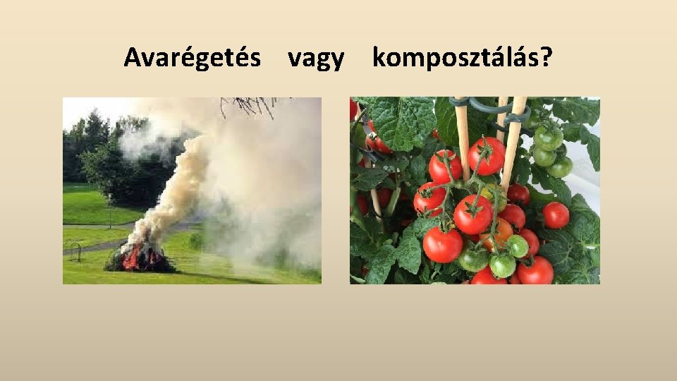 Avarégetés vagy komposztálás? 