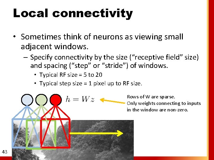 Local connectivity • Sometimes think of neurons as viewing small adjacent windows. – Specify