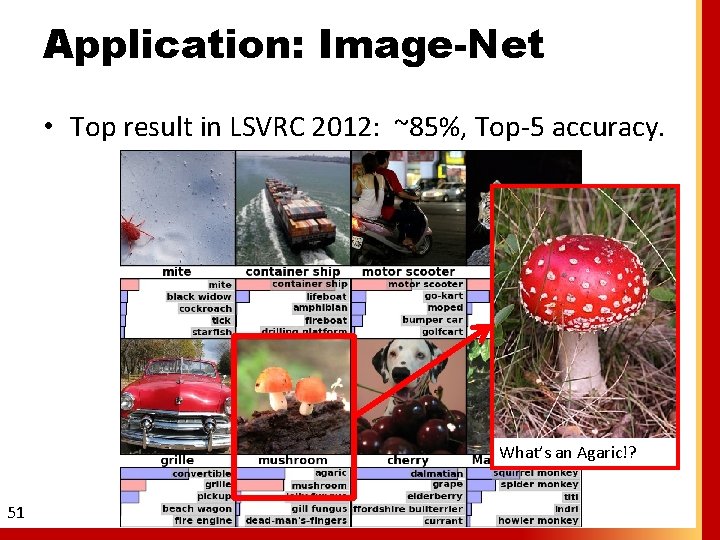 Application: Image-Net • Top result in LSVRC 2012: ~85%, Top-5 accuracy. What’s an Agaric!?