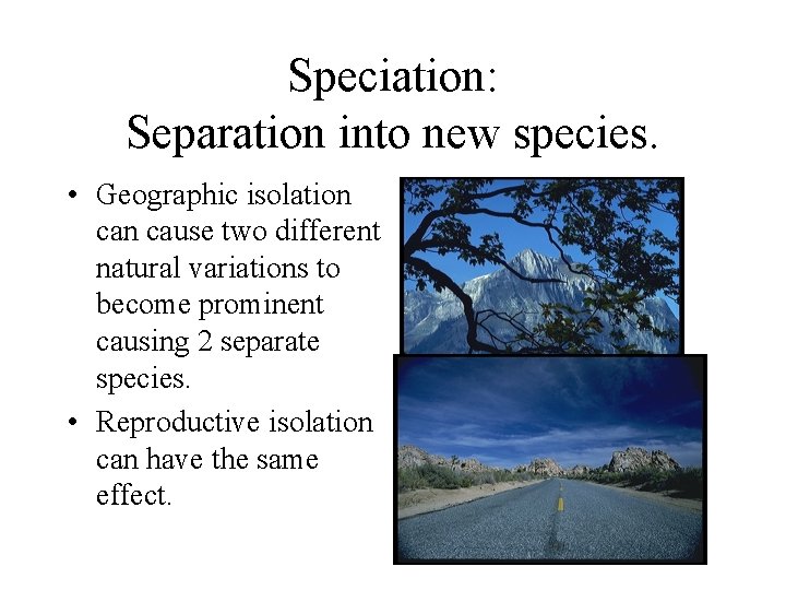 Speciation: Separation into new species. • Geographic isolation cause two different natural variations to