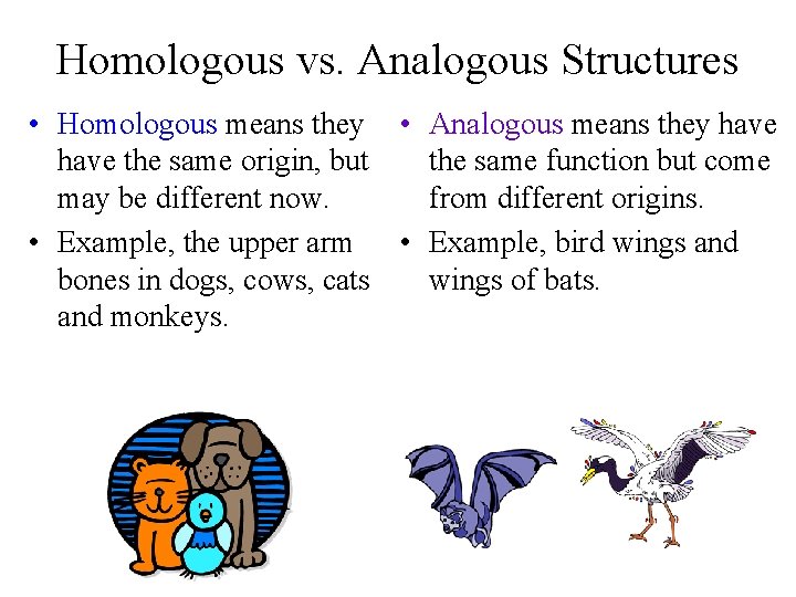 Homologous vs. Analogous Structures • Homologous means they • Analogous means they have the