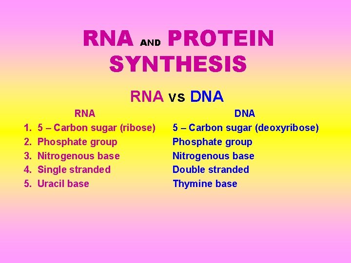 RNA AND PROTEIN SYNTHESIS RNA vs DNA 1. 2. 3. 4. 5. RNA 5