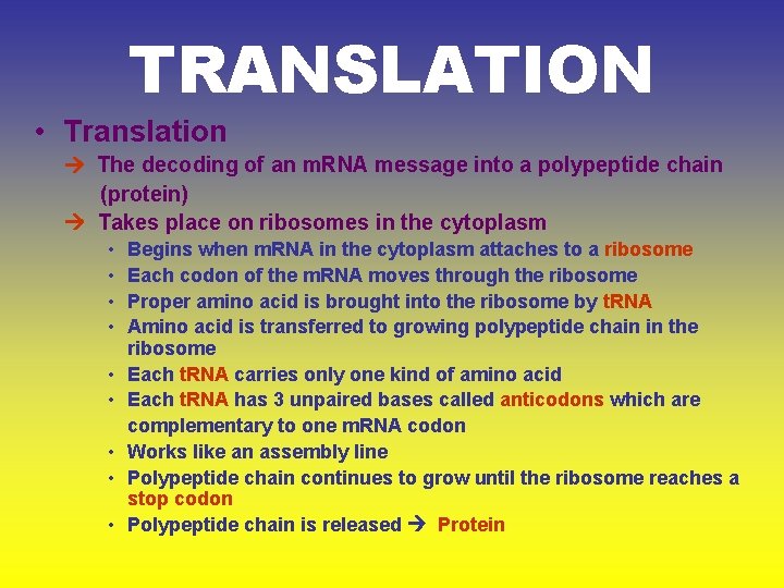 TRANSLATION • Translation The decoding of an m. RNA message into a polypeptide chain