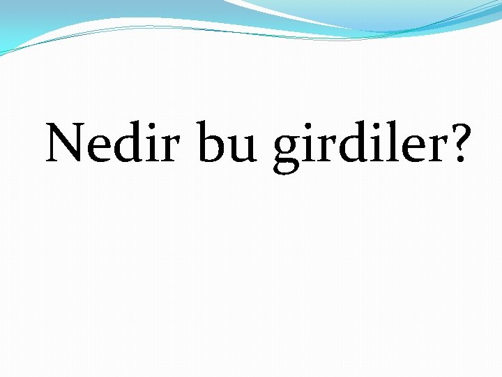 Nedir bu girdiler? 