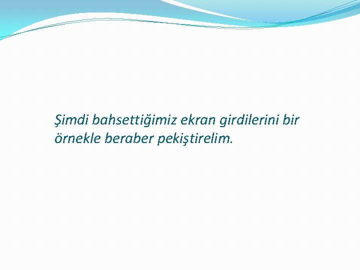 Şimdi bahsettiğimiz ekran girdilerini bir örnekle beraber pekiştirelim. 