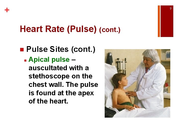 + 9 Heart Rate (Pulse) (cont. ) n Pulse Sites (cont. ) n Apical