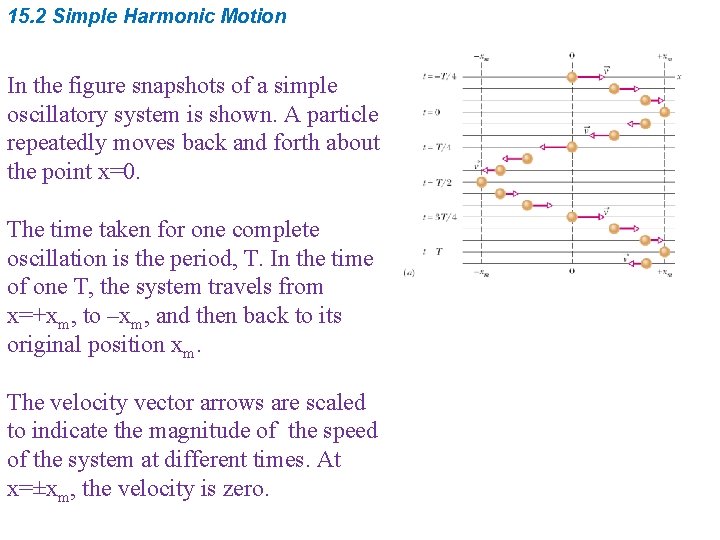 15. 2 Simple Harmonic Motion In the figure snapshots of a simple oscillatory system