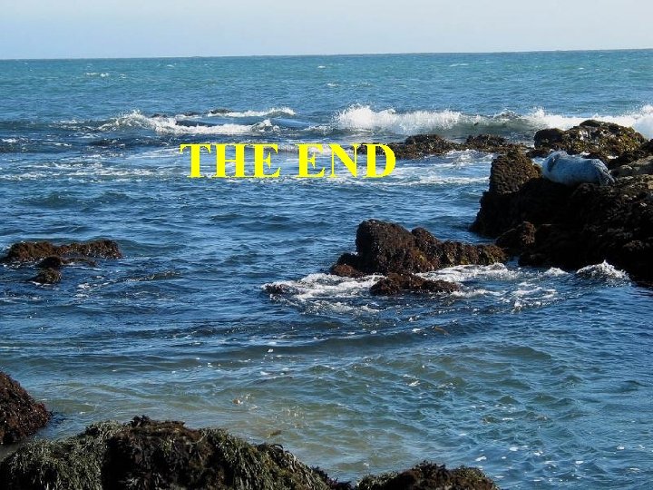THE END 