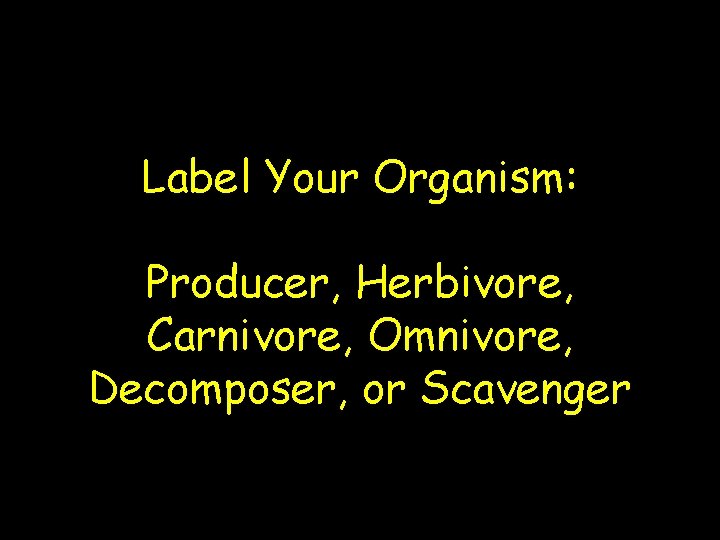 Label Your Organism: Producer, Herbivore, Carnivore, Omnivore, Decomposer, or Scavenger 