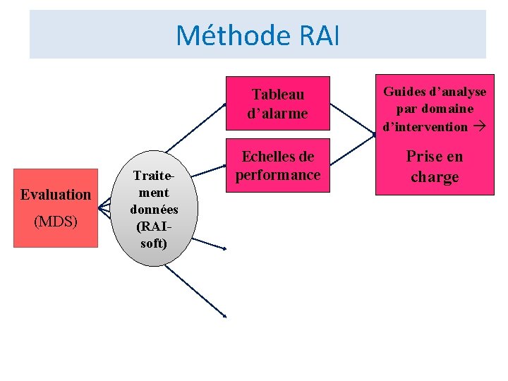 Méthode RAI Evaluation (MDS) Traitement données (RAIsoft) Tableau d’alarme Guides d’analyse par domaine d’intervention