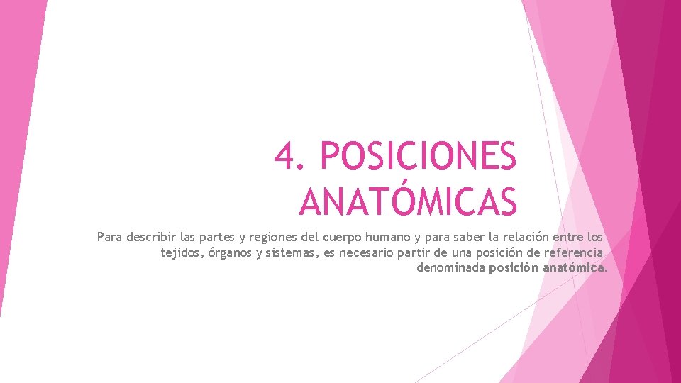 4. POSICIONES ANATÓMICAS Para describir las partes y regiones del cuerpo humano y para