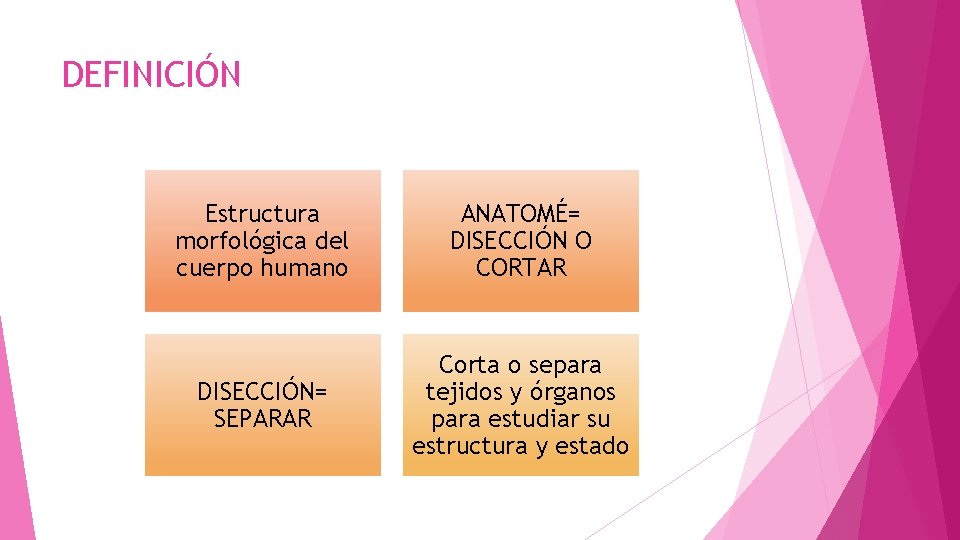 DEFINICIÓN Estructura morfológica del cuerpo humano ANATOMÉ= DISECCIÓN O CORTAR DISECCIÓN= SEPARAR Corta o