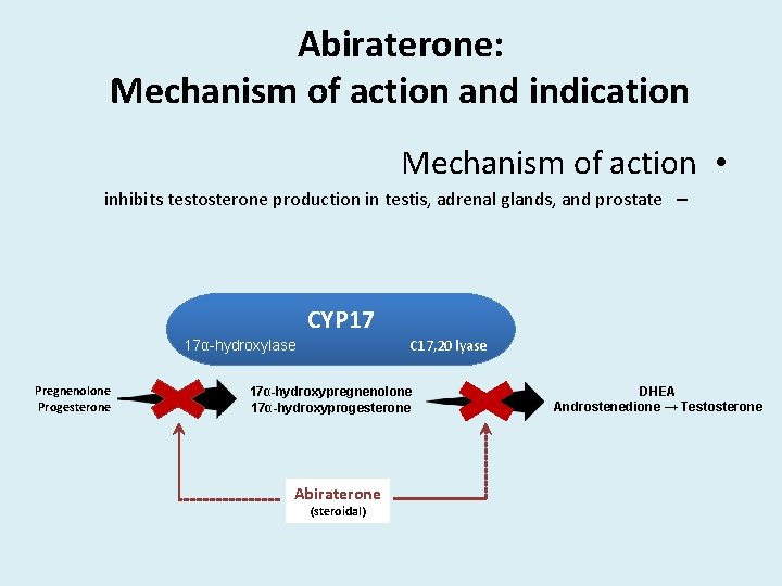 Abiraterone: Mechanism of action and indication Mechanism of action • inhibits testosterone production in