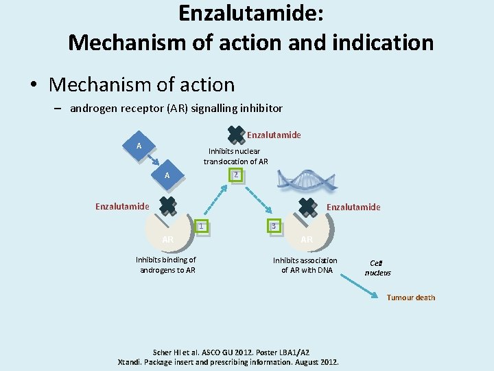Enzalutamide: Mechanism of action and indication • Mechanism of action – androgen receptor (AR)