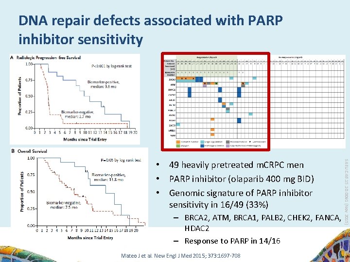 DNA repair defects associated with PARP inhibitor sensitivity – BRCA 2, ATM, BRCA 1,