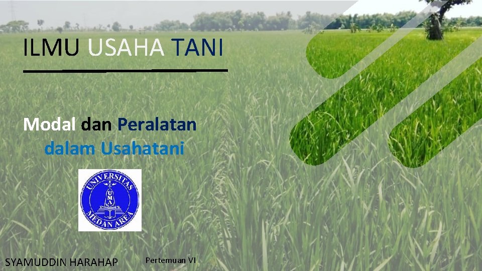 ILMU USAHA TANI Modal dan Peralatan dalam Usahatani SYAMUDDIN HARAHAP Pertemuan VI 