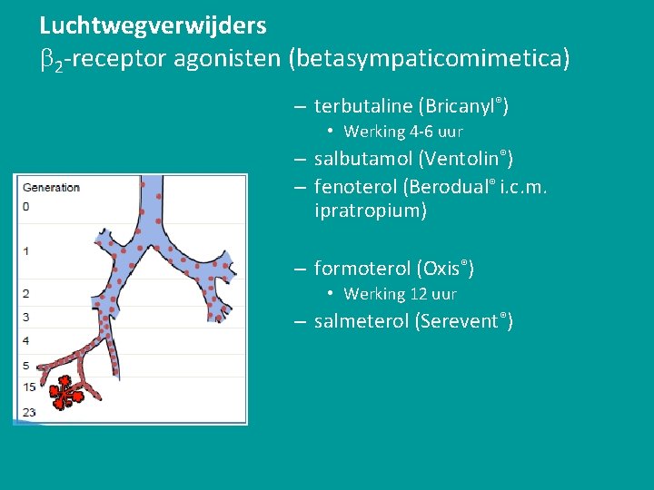 Luchtwegverwijders 2 -receptor agonisten (betasympaticomimetica) – terbutaline (Bricanyl®) • Werking 4 -6 uur –