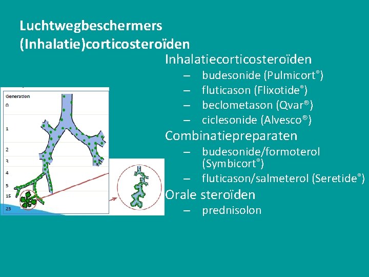 Luchtwegbeschermers (Inhalatie)corticosteroïden Inhalatiecorticosteroïden – – budesonide (Pulmicort®) fluticason (Flixotide®) beclometason (Qvar®) ciclesonide (Alvesco®) Combinatiepreparaten