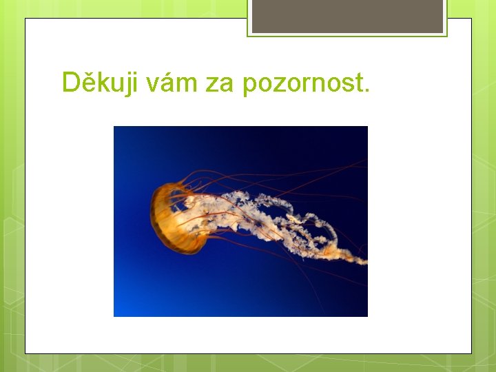 Děkuji vám za pozornost. 