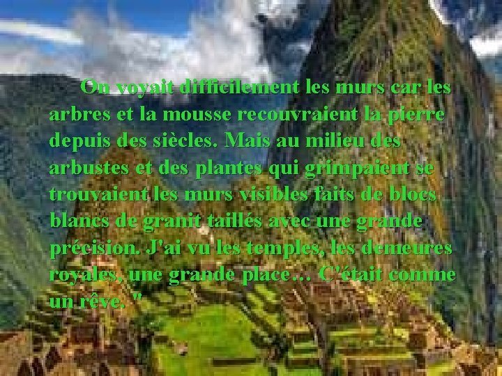 On voyait difficilement les murs car les arbres et la mousse recouvraient la pierre