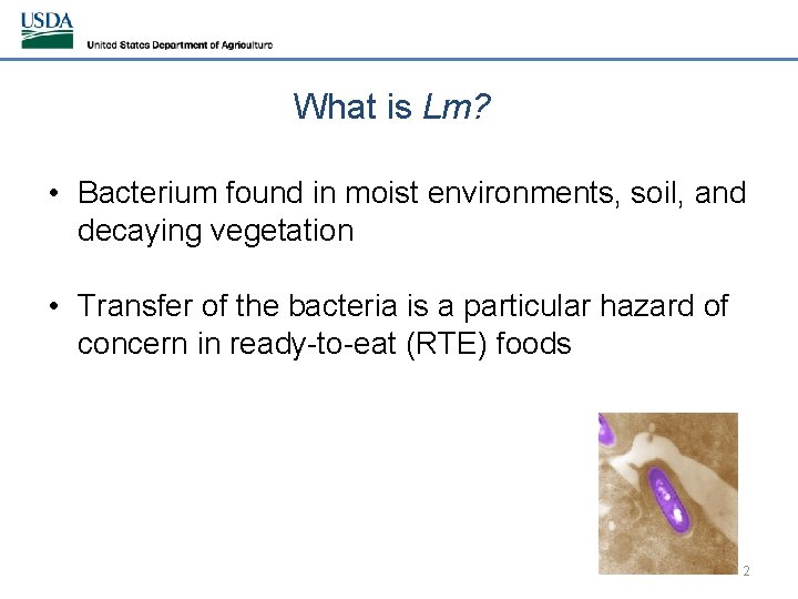 What is Lm? • Bacterium found in moist environments, soil, and decaying vegetation •