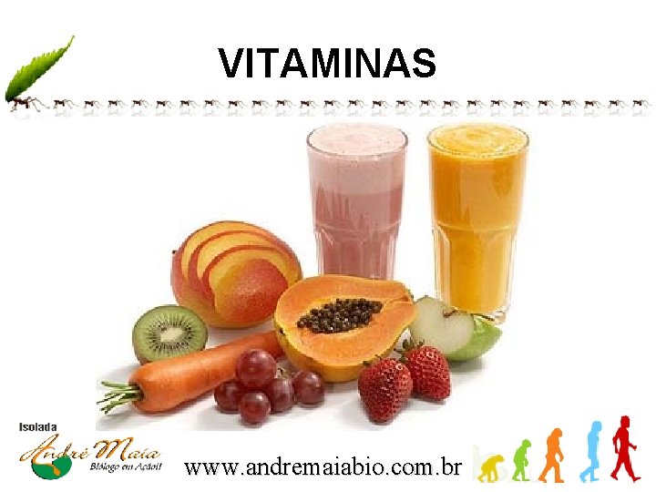 VITAMINAS www. andremaiabio. com. br 