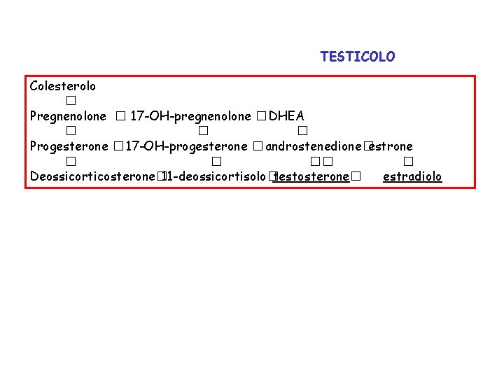 TESTICOLO Colesterolo � Pregnenolone � 17 -OH-pregnenolone � DHEA � � � Progesterone �