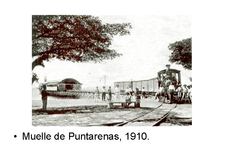  • Muelle de Puntarenas, 1910. 