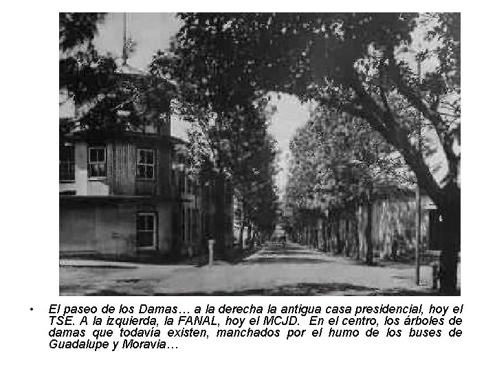  • El paseo de los Damas… a la derecha la antigua casa presidencial,