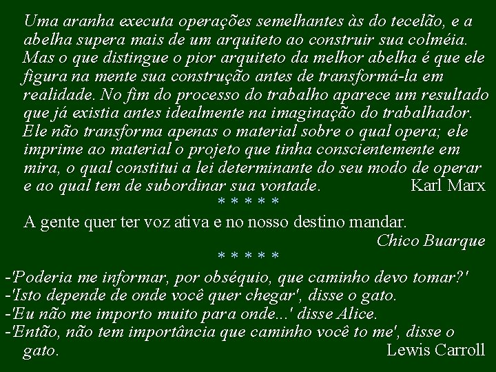 Uma aranha executa operações semelhantes às do tecelão, e a abelha supera mais de