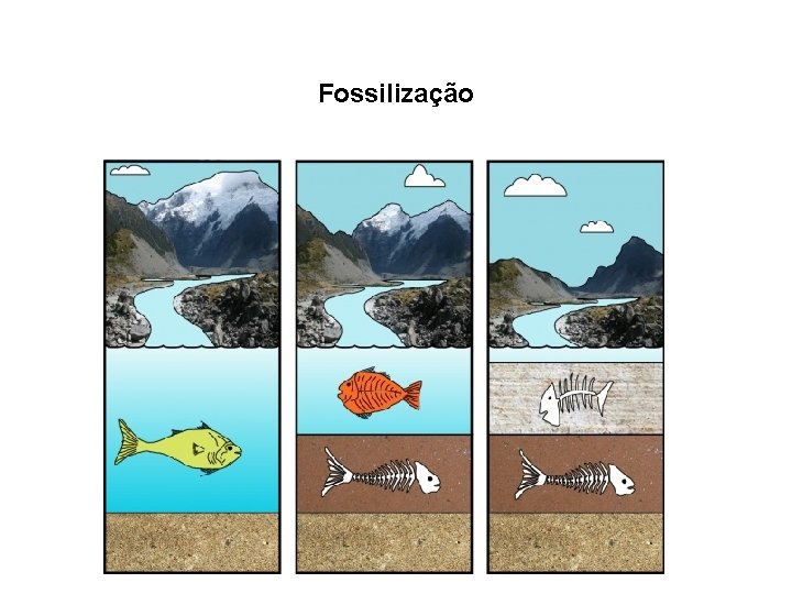 Fossilização 