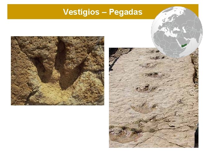 Vestígios – Pegadas 