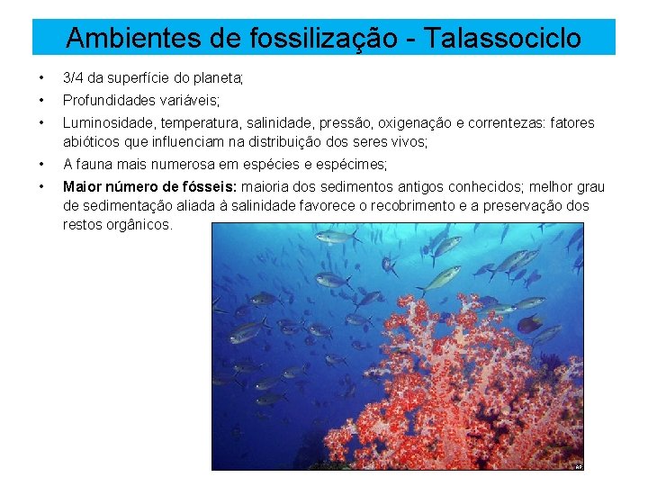 Ambientes de fossilização - Talassociclo • 3/4 da superfície do planeta; • Profundidades variáveis;