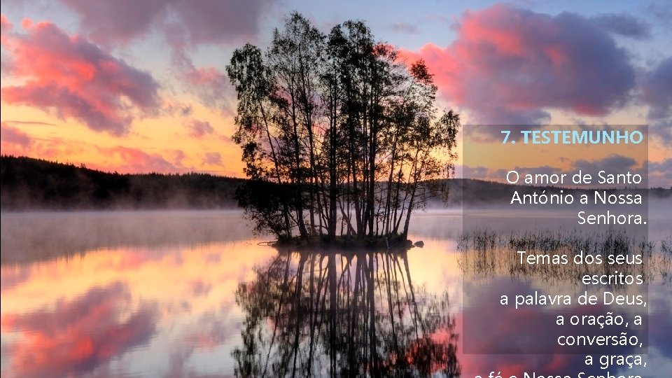 7. TESTEMUNHO O amor de Santo António a Nossa Senhora. Temas dos seus escritos