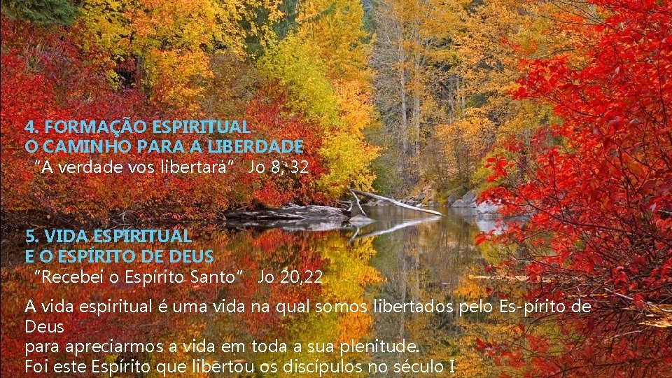 4. FORMAÇÃO ESPIRITUAL O CAMINHO PARA A LIBERDADE “A verdade vos libertará” Jo 8,