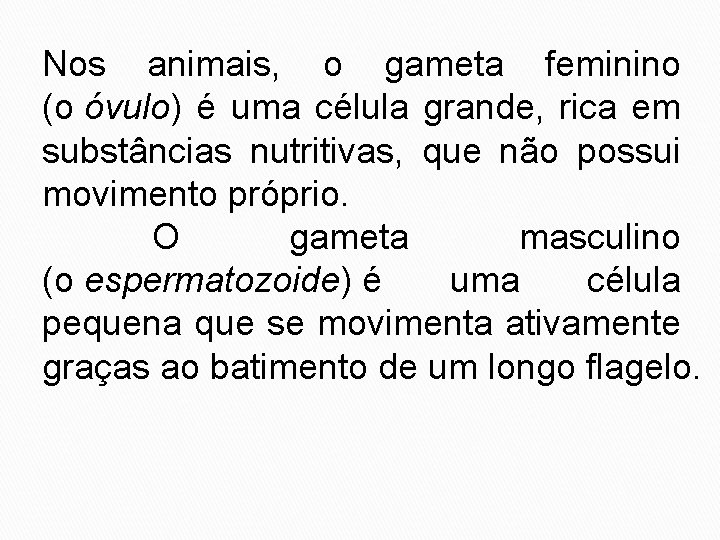 Nos animais, o gameta feminino (o óvulo) é uma célula grande, rica em substâncias