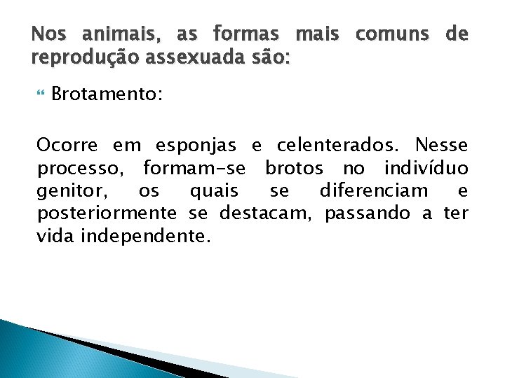 Nos animais, as formas mais comuns de reprodução assexuada são: Brotamento: Ocorre em esponjas Nos animais, as formas mais comuns de reprodução assexuada são: Brotamento: Ocorre em esponjas