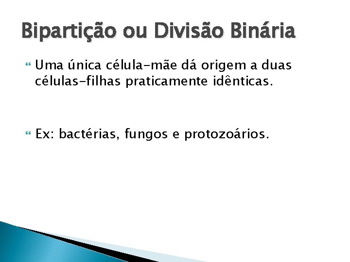 Bipartição ou Divisão Binária Uma única célula-mãe dá origem a duas células-filhas praticamente idênticas. Bipartição ou Divisão Binária Uma única célula-mãe dá origem a duas células-filhas praticamente idênticas.